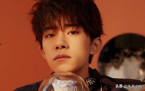 娱乐吃瓜酱杨洋,娱乐吃瓜酱中的璀璨明星  第1张