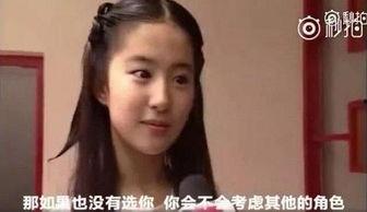 刘亦菲爆料宋宗宪视频播放,刘亦菲揭露宋宗宪视频播放背后的真相  第2张